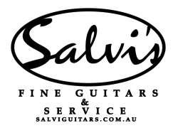 Salvi's Fine Guitars